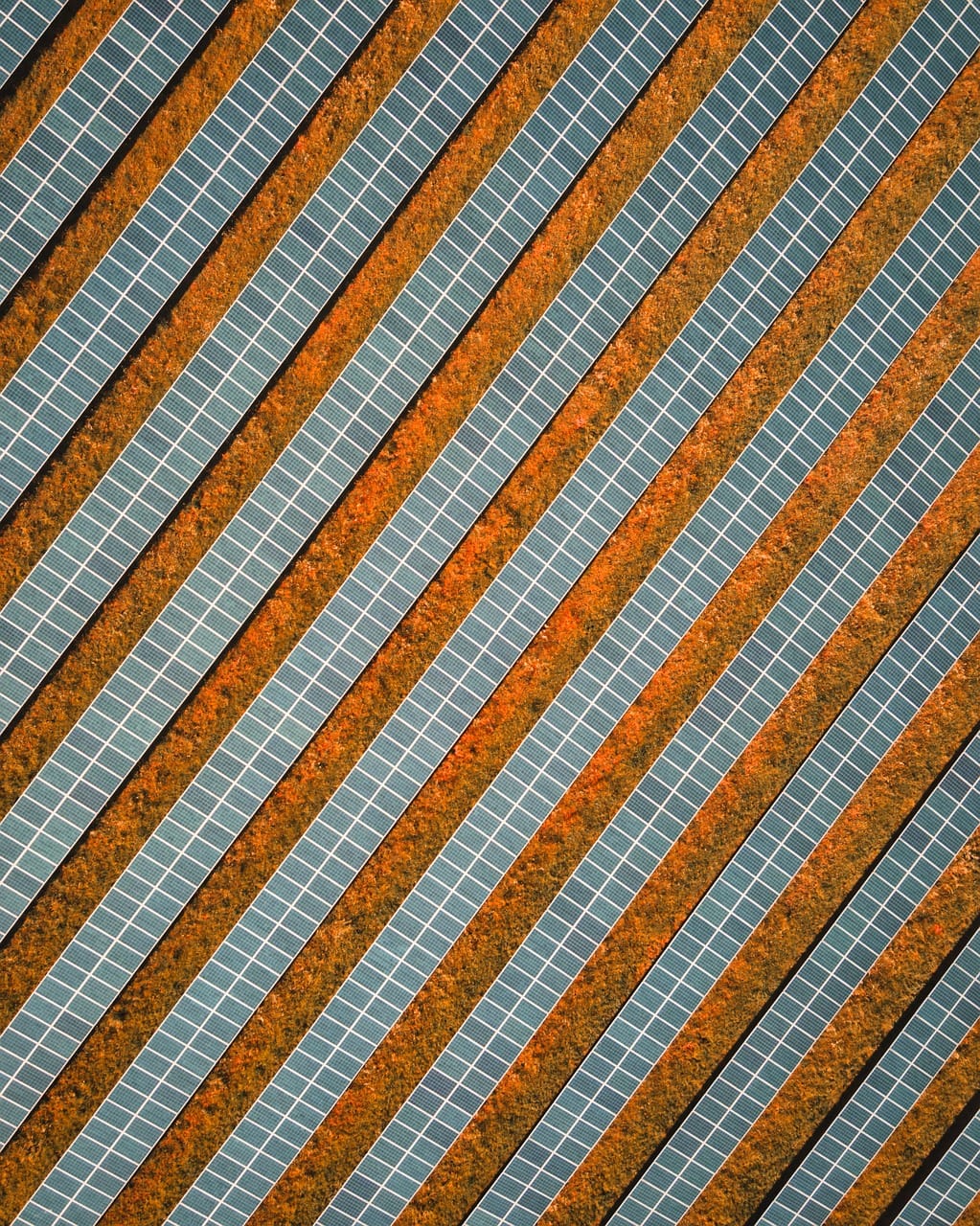 Solar Takes Over